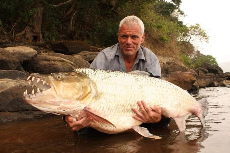Water magazine No. 26 Tiger fish Water magazine No. 26 Tiger fish