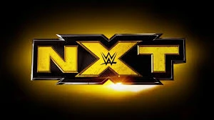 Choose the best ppv/ple NXT theme