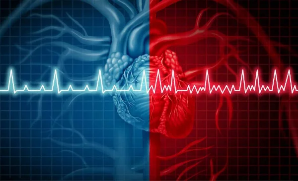 The test contains both very real and existing, as well as exotic variants that have not been confirmed by modern science. To whom what is closer and more interesting, because it tastes and colors...