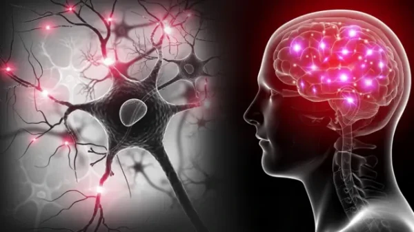 There are 10 questions in total. It covers logic, mathematics, memory and general knowledge. 