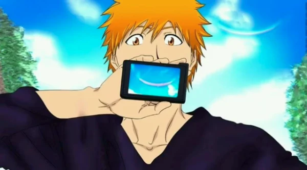 There are many wonderful endings in Bleach, I suggest you choose the best one.

