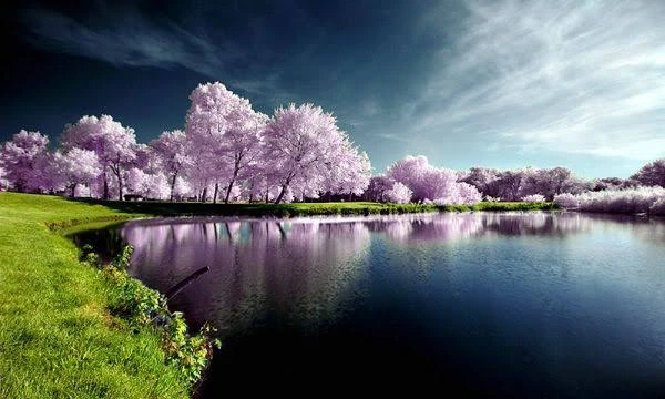There are four seasons. Do you want to know which one best describes you? If so, then this test is for you!