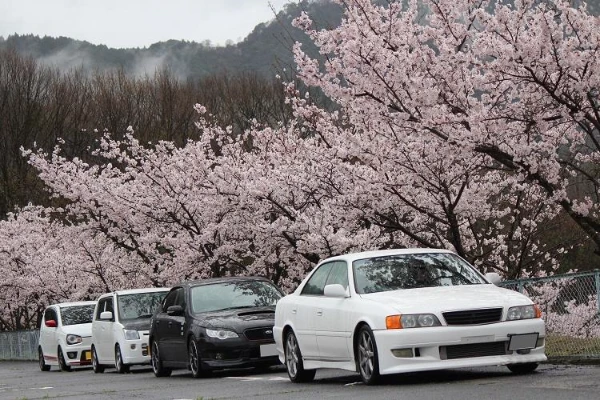 Japan's automotive industry is one of the most famous industries in the world. It is the birthplace of companies producing cars, construction vehicles, motorcycles, etc.