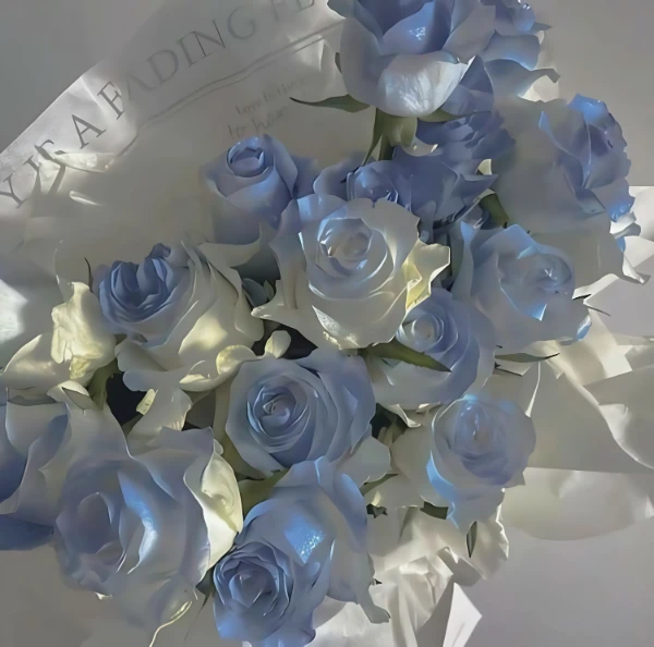 There are a million beautiful roses in the world, so I tried to collect the most beautiful pictures of roses (+interesting facts). Enjoy passing the test!