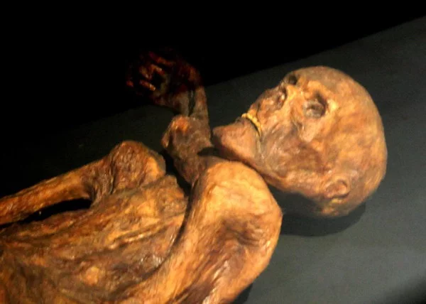 The appearance of the mummy (it's just a mummy, not a mutilated body - do not ban:(( ) The appearance of the mummy (it's just a mummy, not a mutilated body - do not ban:(( )