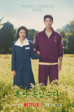 Need to choose the best drama,movie