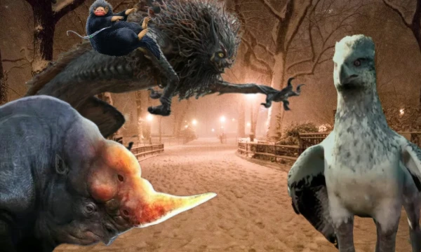 Hello! Today I suggest you find out what kind of fantastic creature you would be in the world of Harry Potter. Enjoy your passage!