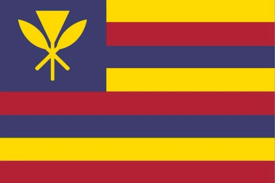 In this playlist, I will present you the flags that I created and then brief descriptions of the countries that use them.
