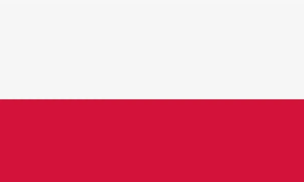 The year is 1936 in the courtyard. Poland is hemmed in by the Reich and the USSR. You must survive in this chaos and create a Polish-Lithuanian Commonwealth that no one will capture. Will you be able 