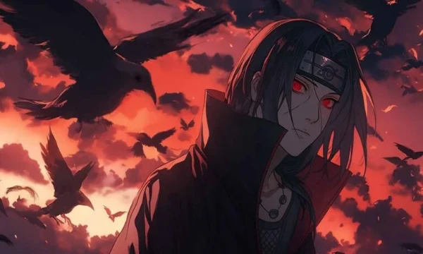 In this tournament, you need to choose your favorite (not only in APPEARANCE) character among those chosen by my girlfriend. Have a good passage, everyone! 