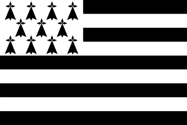Many countries are divided into regions, each with its own flag and coat of arms. Choose the one you like best.