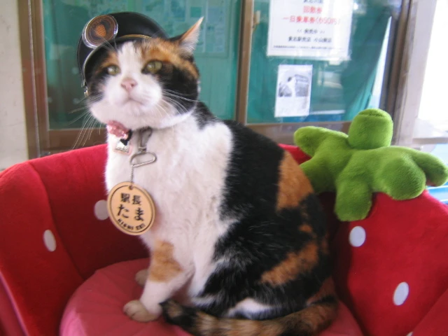 Dear stationmaster Dear stationmaster