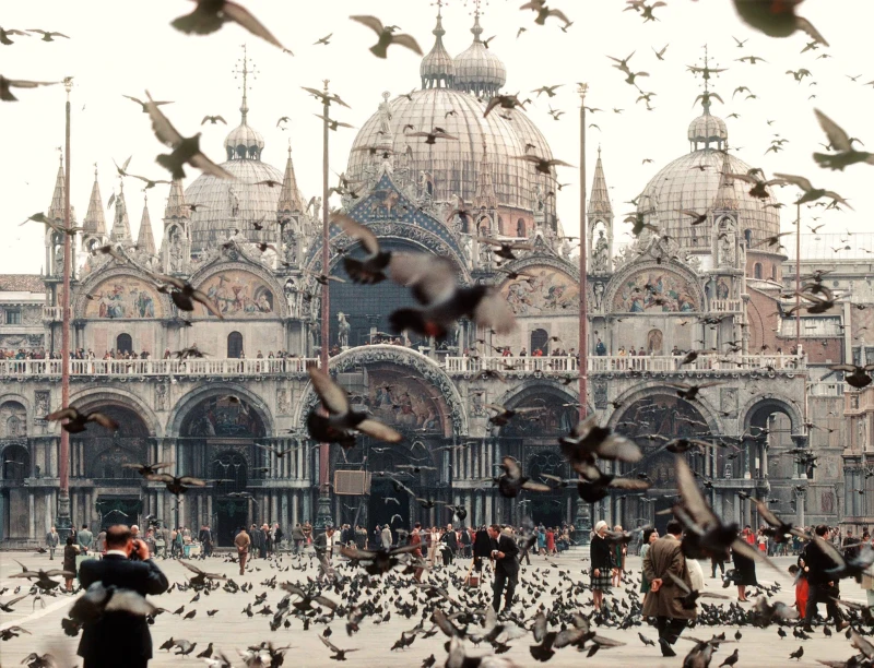 My Search adventures (pigeon) My Search adventures (pigeon)