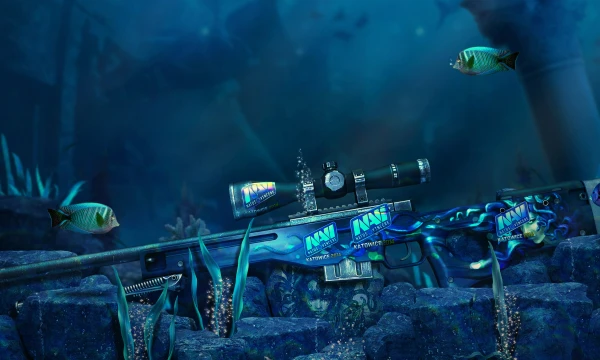 You have the opportunity to choose the most attractive color for CS2 weapons based on your taste. And also to see how they changed after the introduction of the technology of rattracing. ⎝ 𓆩✧𓆪 ⎠