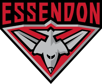 The Australian Football League is a league with the rules of Australian football, aka footy. I suggest you choose the best logo among the old and new ones!