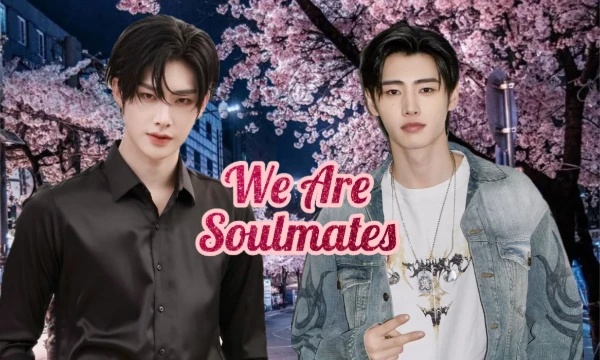 A soulmate is a kindred spirit. This is the name given to a loved one with whom there is a deep emotional, spiritual or intellectual connection. Find out which of the idols suits you better.