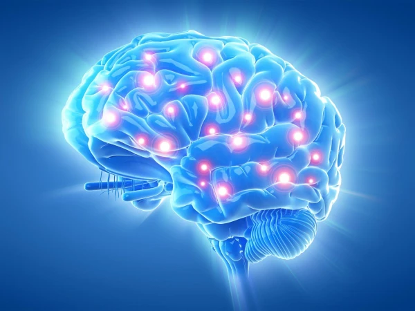 In this test, we will ask you a number of questions and tasks related to various spheres of life, exact sciences, art, you will meet questions on knowledge of mathematics and physics, literature and t