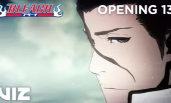 There are many wonderful openings and endings in Bleach, I suggest you choose the best one.

