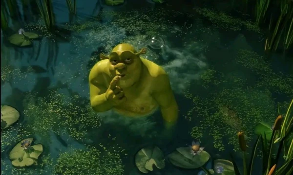 I think everyone knows this cartoon. And I think everyone would like to know what kind of character they look like. Well, your time has come! Answer the questions and find out who you are from Shrek. 
